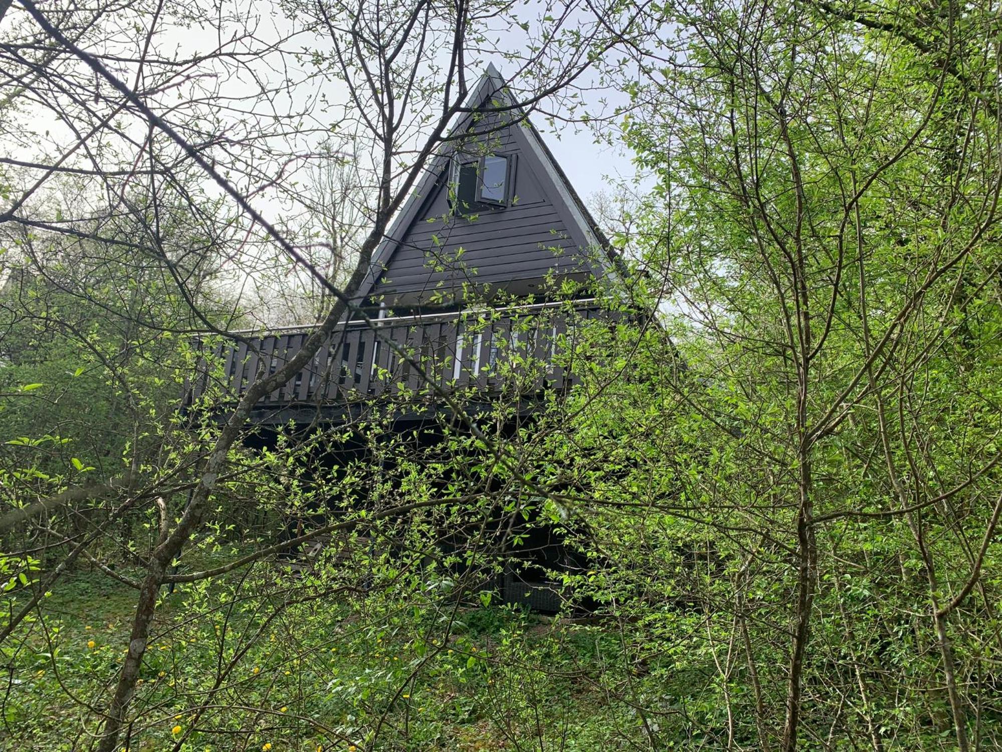 Heerlijk Vakantiehuis In Bos Bij Durbuy Exterior foto